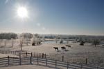 Dominion Ranch